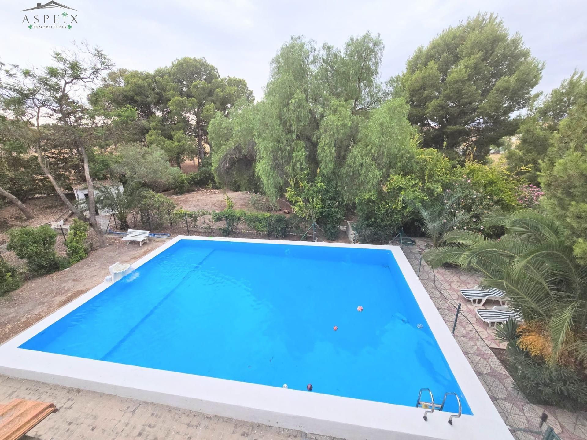 Piscina de Casa o xalet en venda en Aspe amb Aire condicionat i Piscina