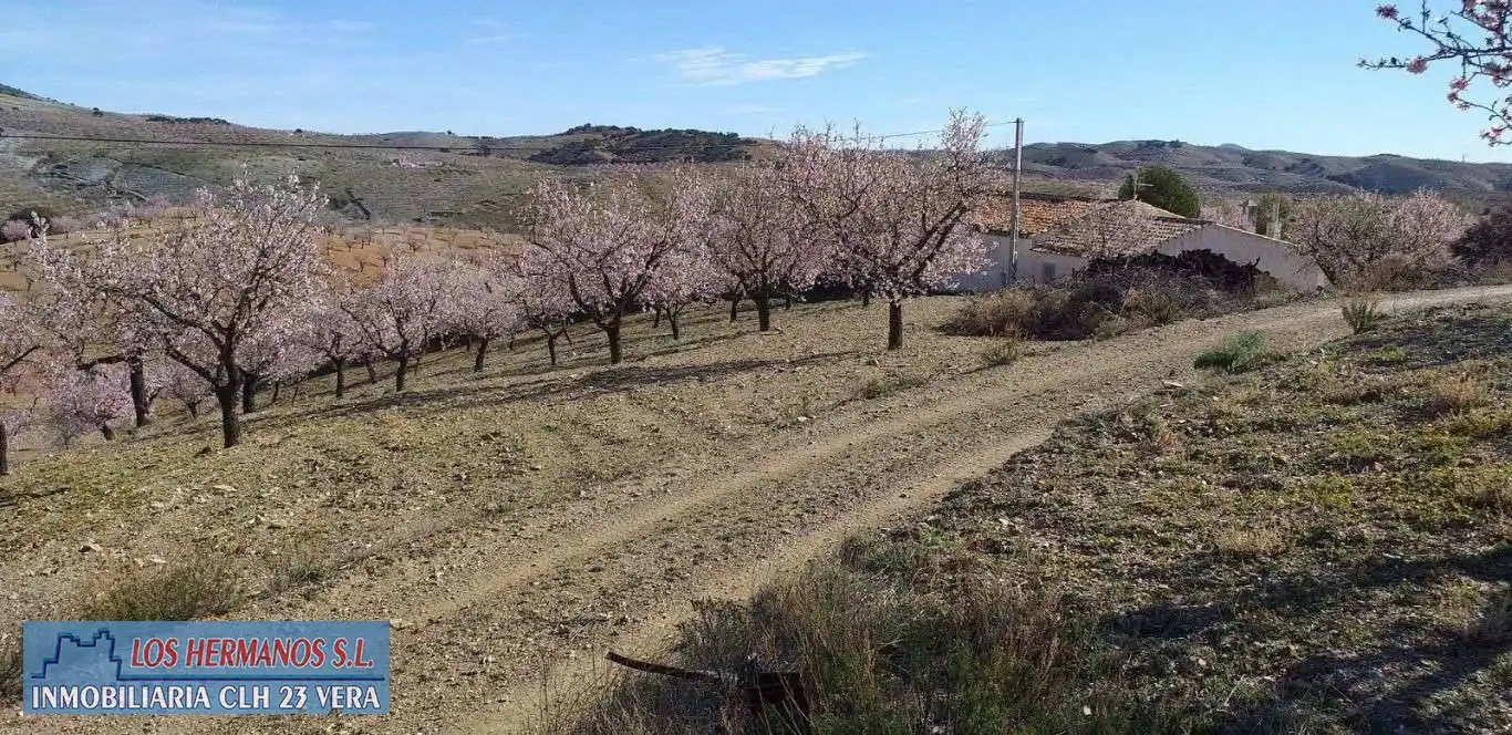 Finca rústica en venta en Vélez-Rubio