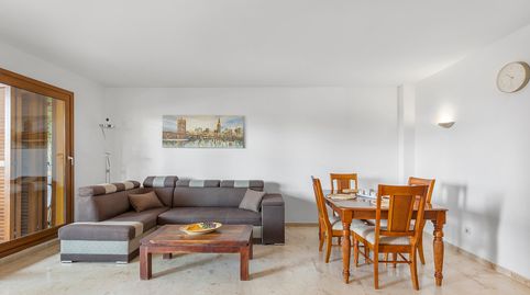 Foto 4 de Planta baixa en venda a Punta Prima, Torrevieja