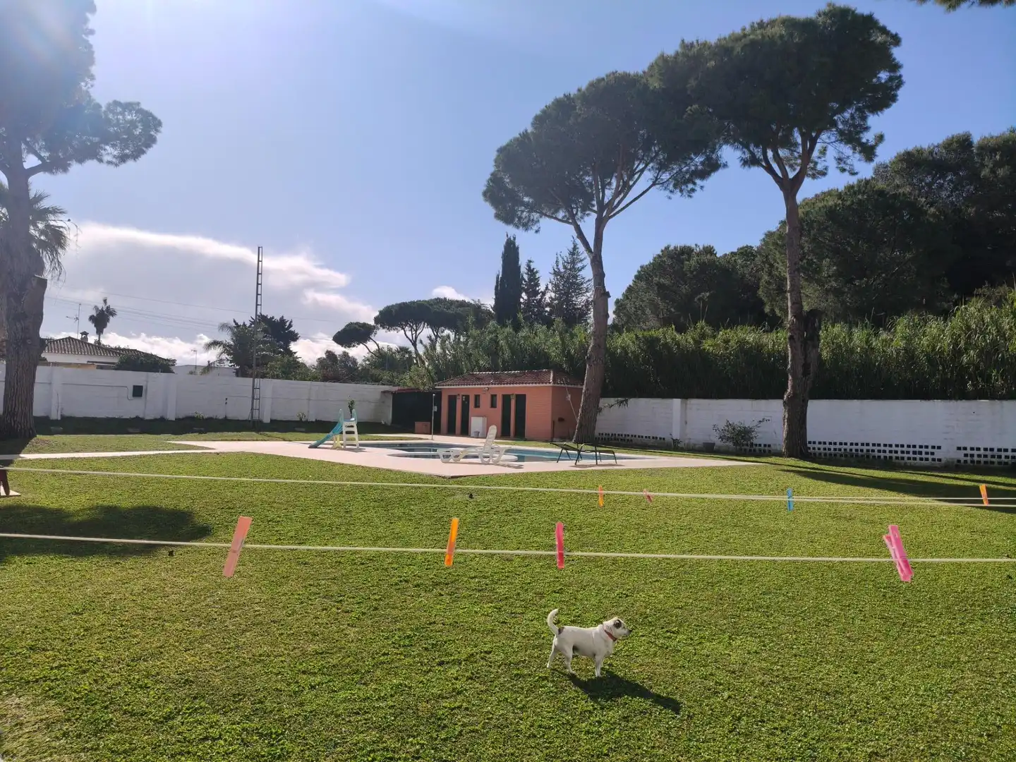 Garden of Houses for sale in Chiclana de la Frontera  with Air Conditioner, Swimming Pool and Alarm