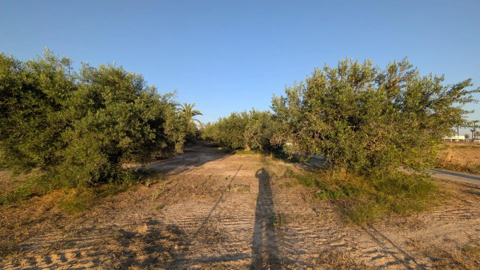 Rustikales Grundstück zum Verkauf in Algorós - El Derramador, imagen 3