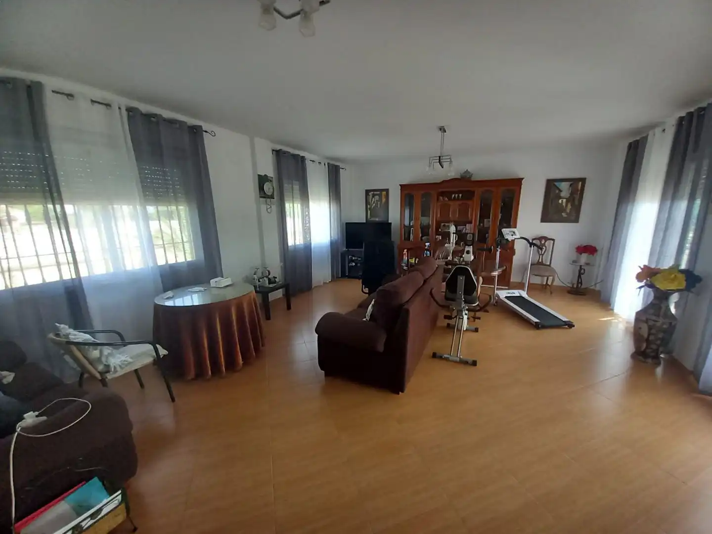 Sala d'estar de Casa o xalet en venda en Linares amb Terrassa