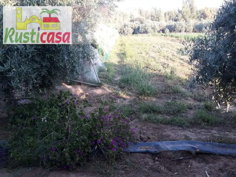 Terreni e lotti in vendita a Angulo 1, imagen 4