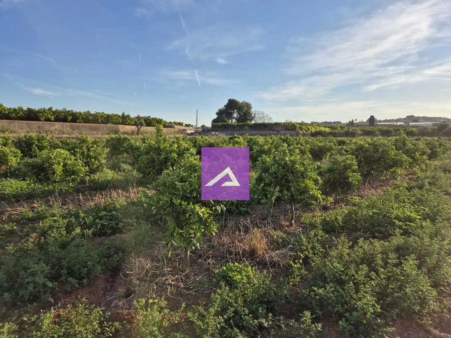 Land for sale in Picassent