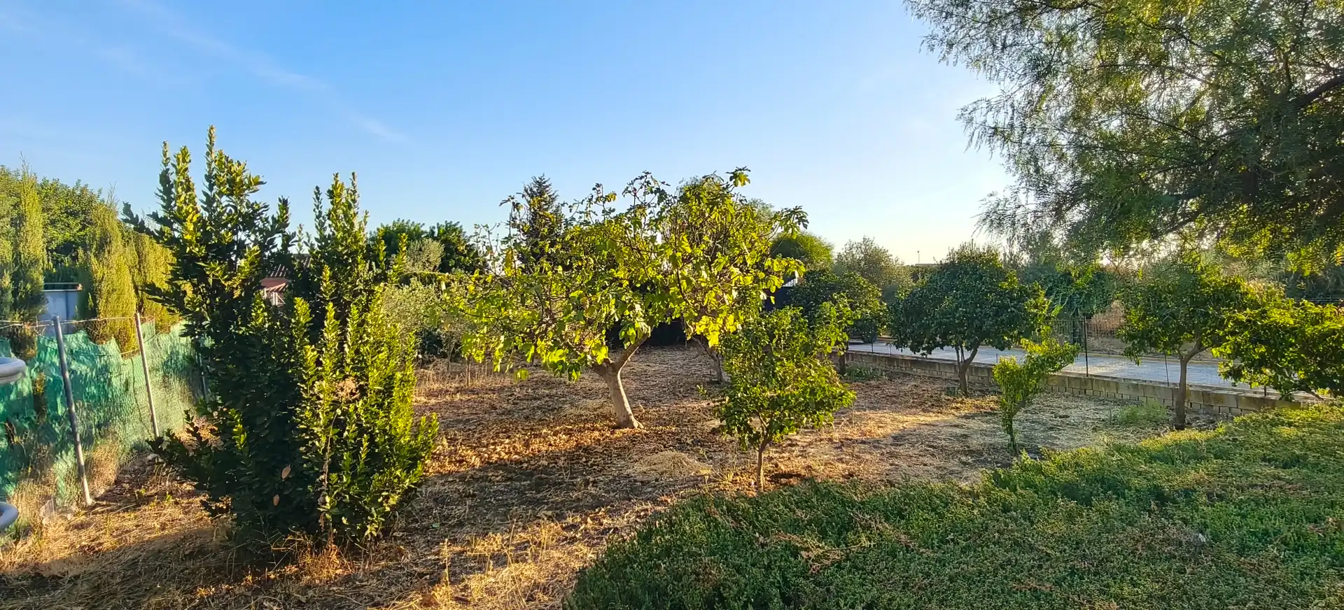 Maison rustique avec jardin à vendre à Las Cabezas de San Juan, imagen 15