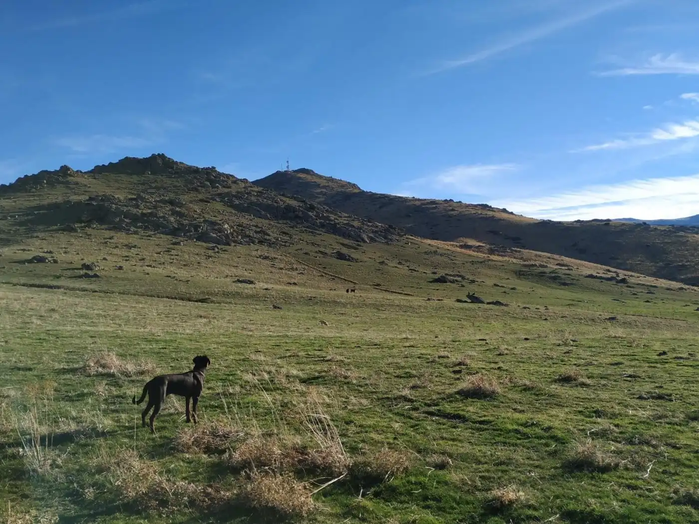 Landhaus zum Verkauf in Palazuelos de Eresma