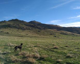 Außenansicht von Country house zum verkauf in Palazuelos de Eresma