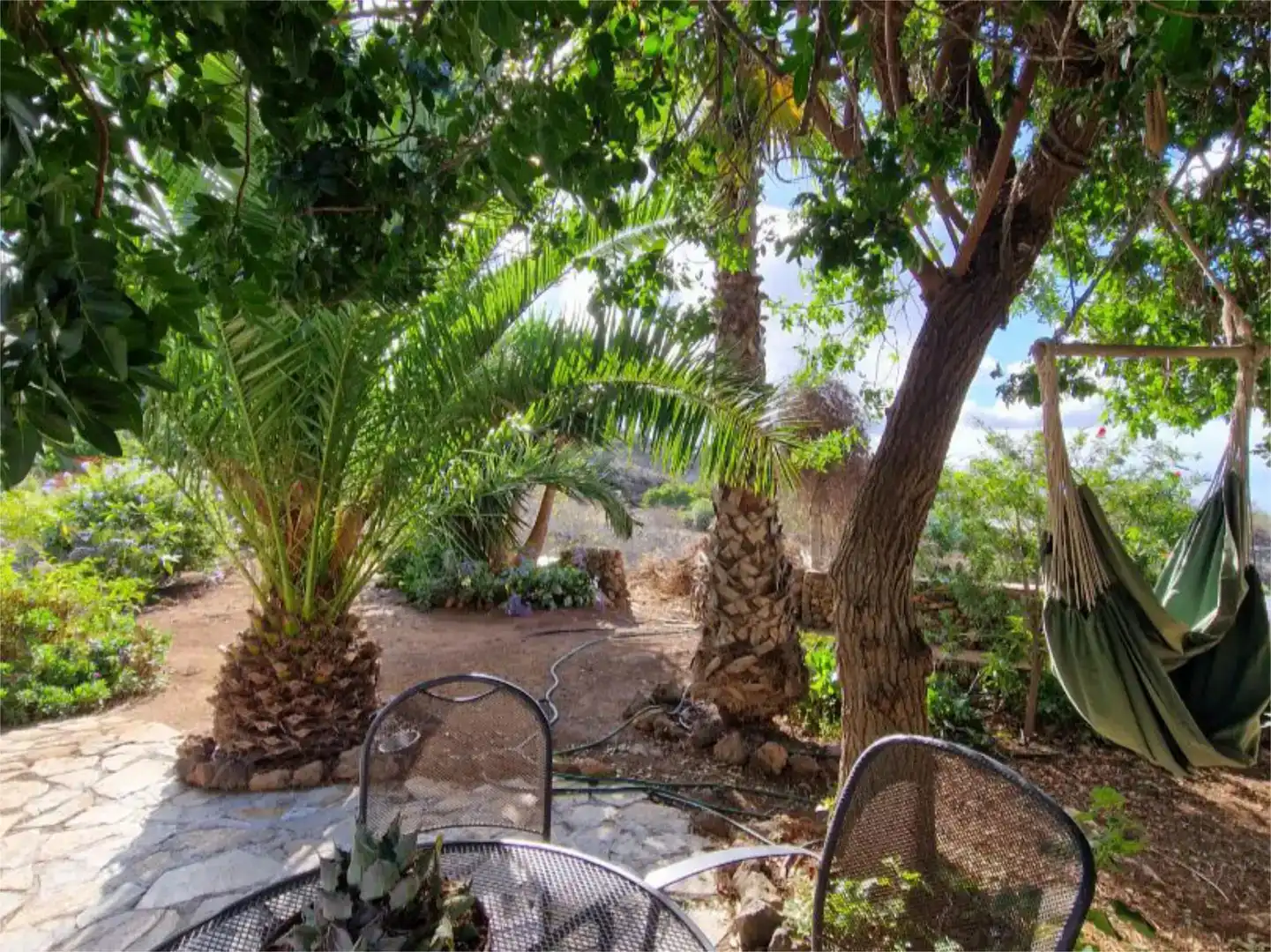Garden of Flat for sale in Guía de Isora  with Air Conditioner, Private garden and Storage room