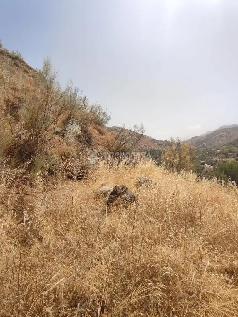 Rustikales Grundstück zum Verkauf in Pinos Genil, imagen 16