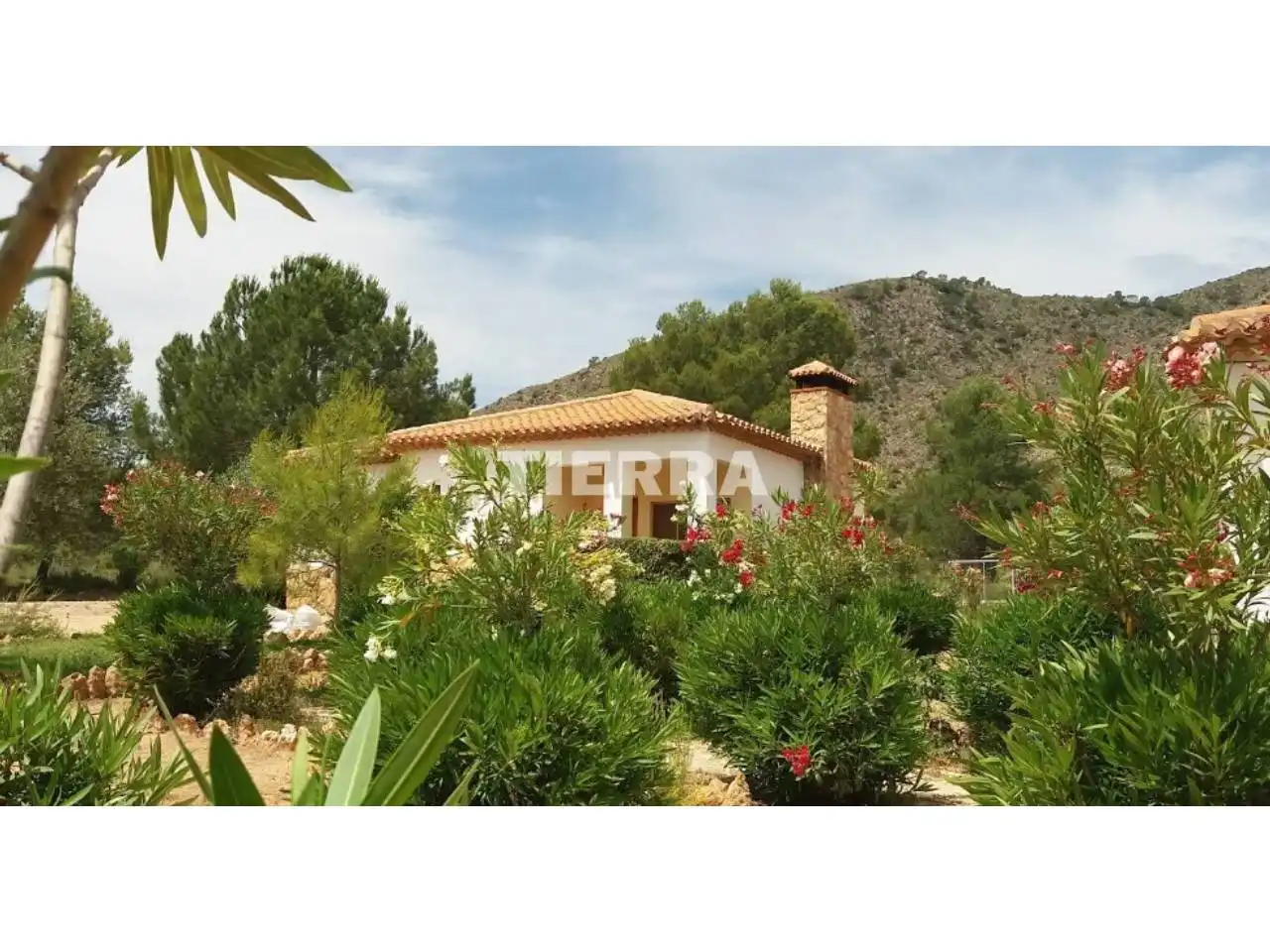 Garden of Buildings for sale in Socovos