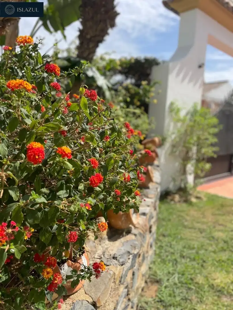 Planta baixa de lloguer a Islantilla Costa