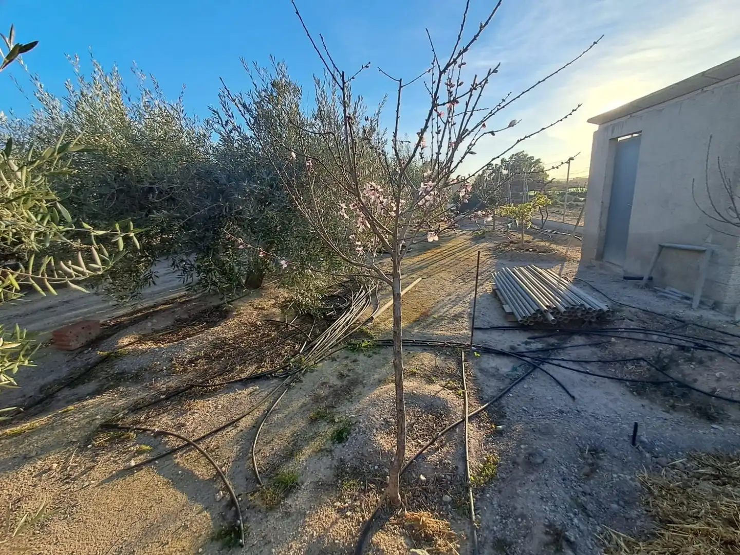 Casa en venta en Pedanías Sur, imagen 8