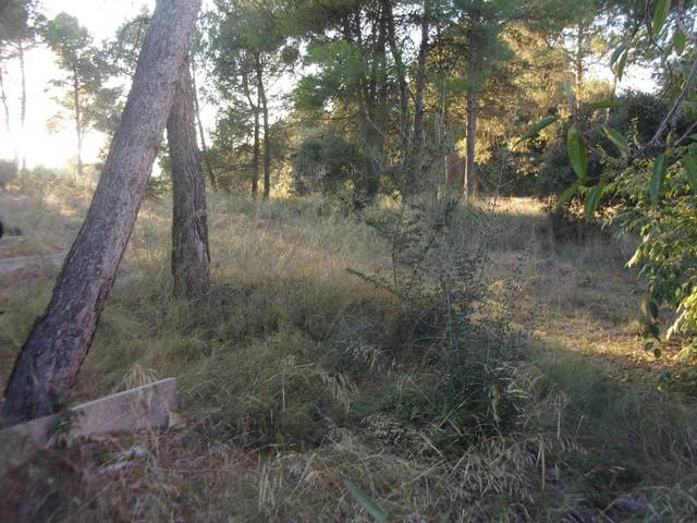 Terreno residencial en Venta en PI 23 i BOIX 14 en Santpedor