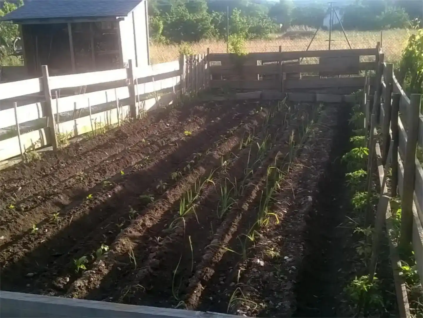 Jardín de Piso en venta en Cacabelos, León