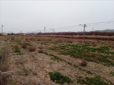 Residential land for sale in El Burgo de Ebro
