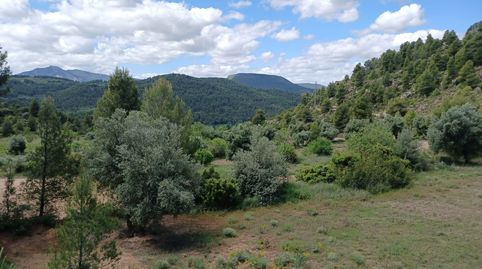 Finca rústica en Valderrobres, immagine 3