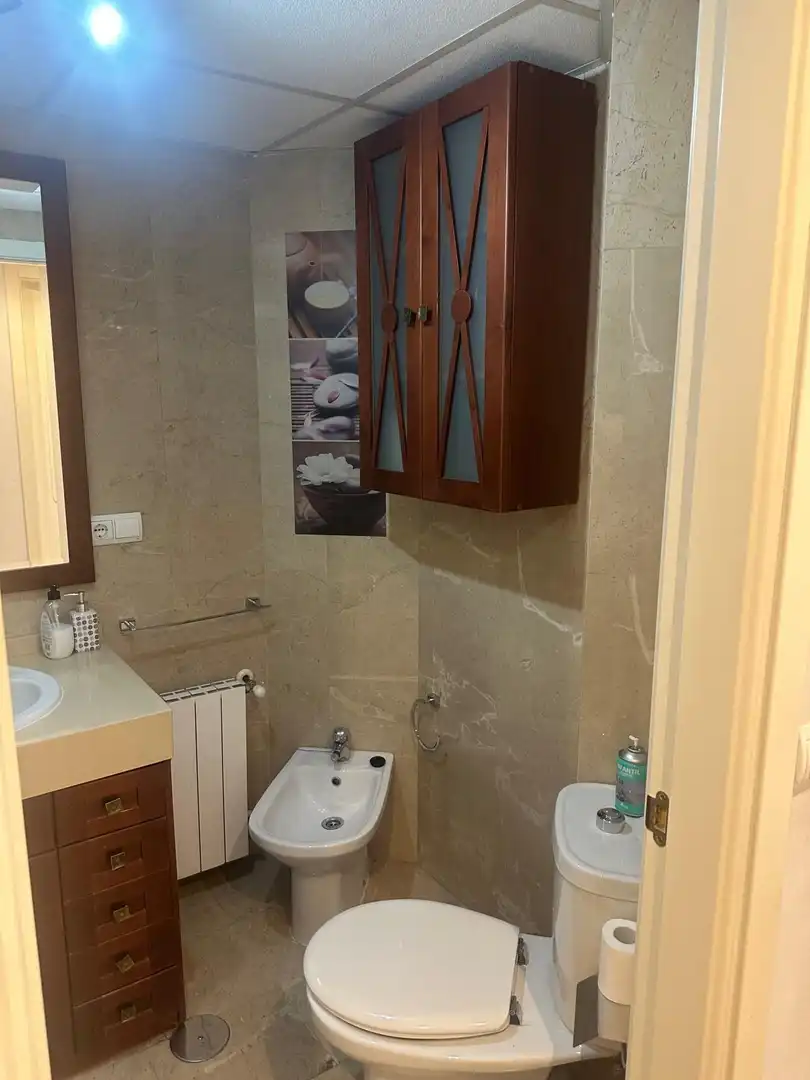 Bathroom of Apartments for rent in Granada  with Air Conditioner, Heating and Furnished