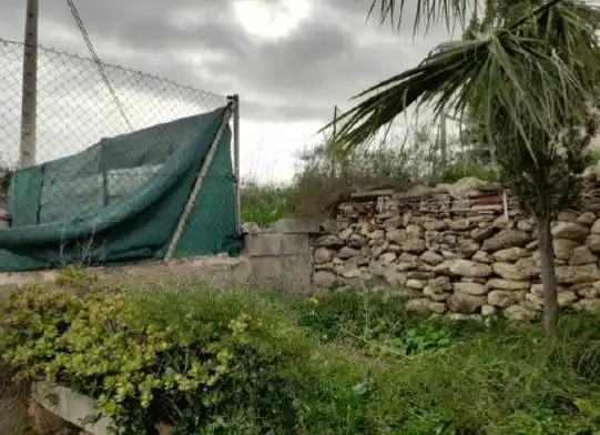 Terreny rústic en venda a Ptda de la Costera, imagen 6