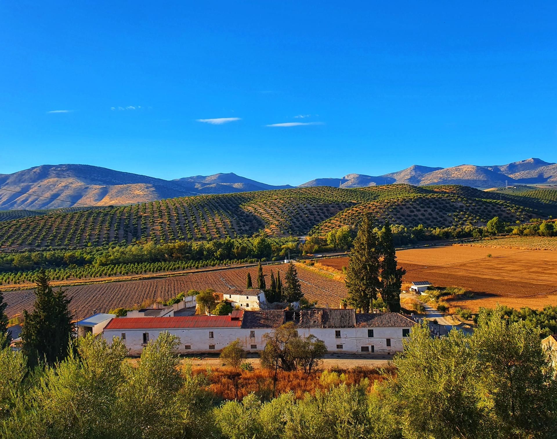 Vista exterior de Finca rústica en venda en Albolote amb Jardí privat i Terrassa