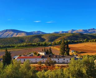 Vista exterior de Finca rústica en venda en Albolote amb Jardí privat i Terrassa