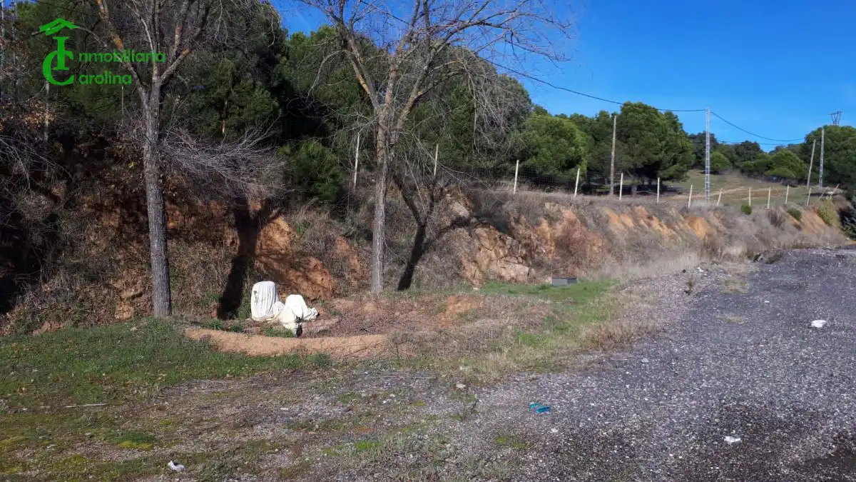 Gewerbefläche zum Verkauf in Madrid-Cádiz Km 260, imagen 5