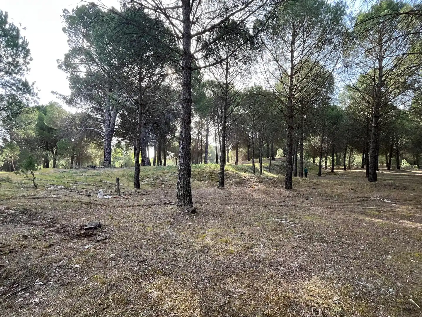Terreno en venta en Tudela de Duero