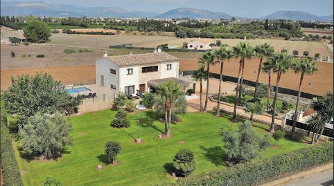 Photo 3 of Houses for rent in Muro - Cami de Son Mieres, Muro, Illes Balears