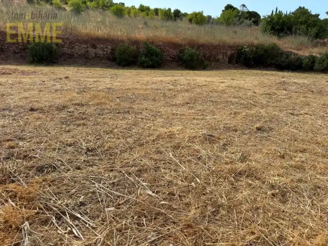 Terreni e lotti in vendita a Partidas Norte, imagen 7