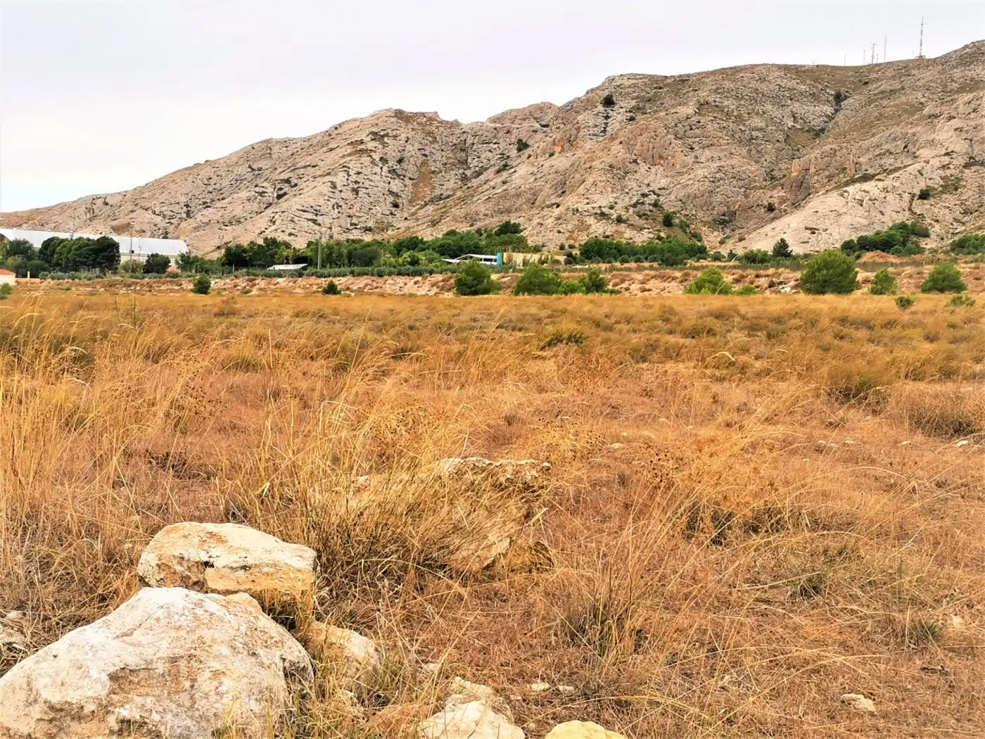 Fabrik Grundstücke zum Verkauf in Villena