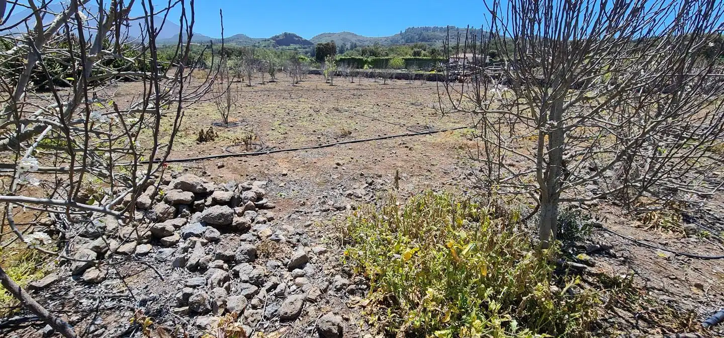 Casa rústica con jardín en venta en Garachico, imagen 5