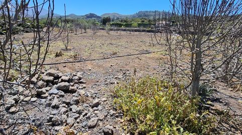 Foto 5 de Finca rústica en venta en Garachico, Santa Cruz de Tenerife