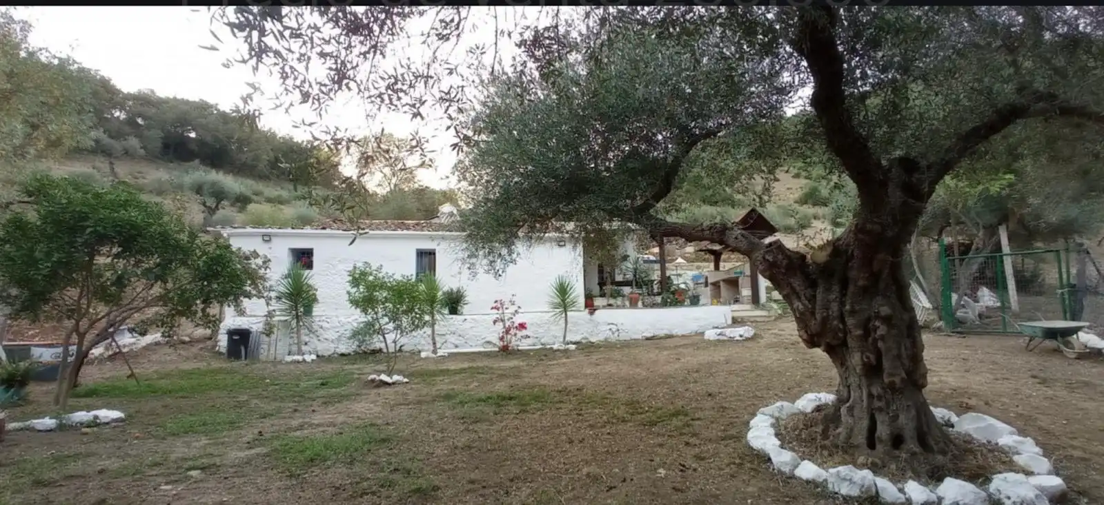 Jardín de Finca rústica en venta en Benaocaz