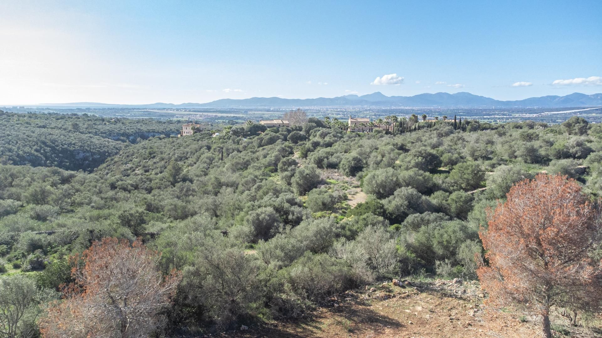 Residencial en venda a  SON GUAL II-H(NO OFICIAL), Son Gual, Llevant