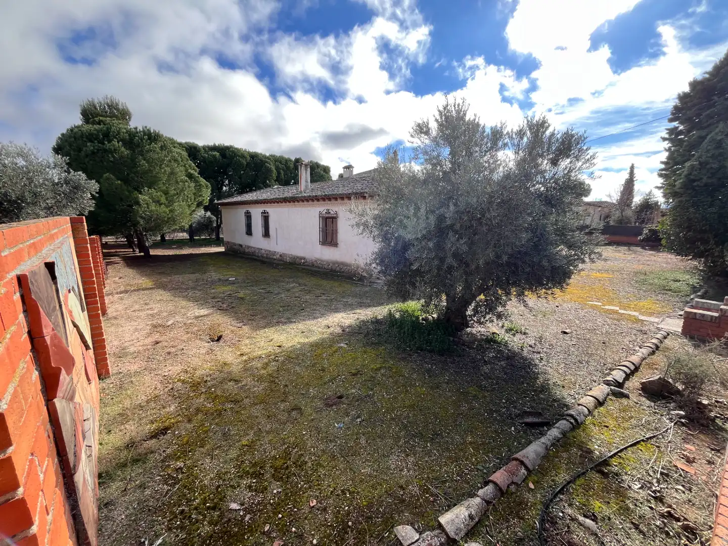 Houses for sale in Cobisa
