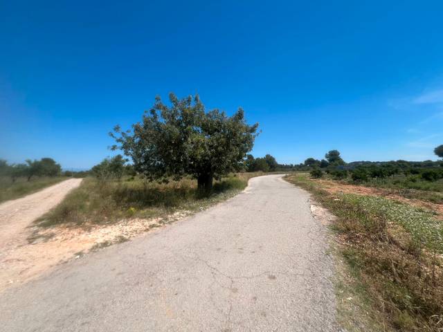 Terreno en Venta en Godelleta