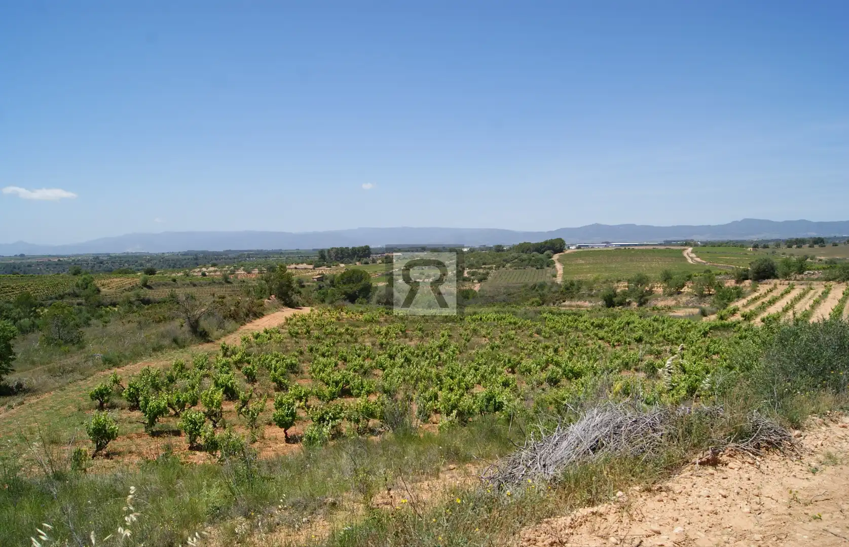 Terrain rustique à vendre à N/A, imagen 12