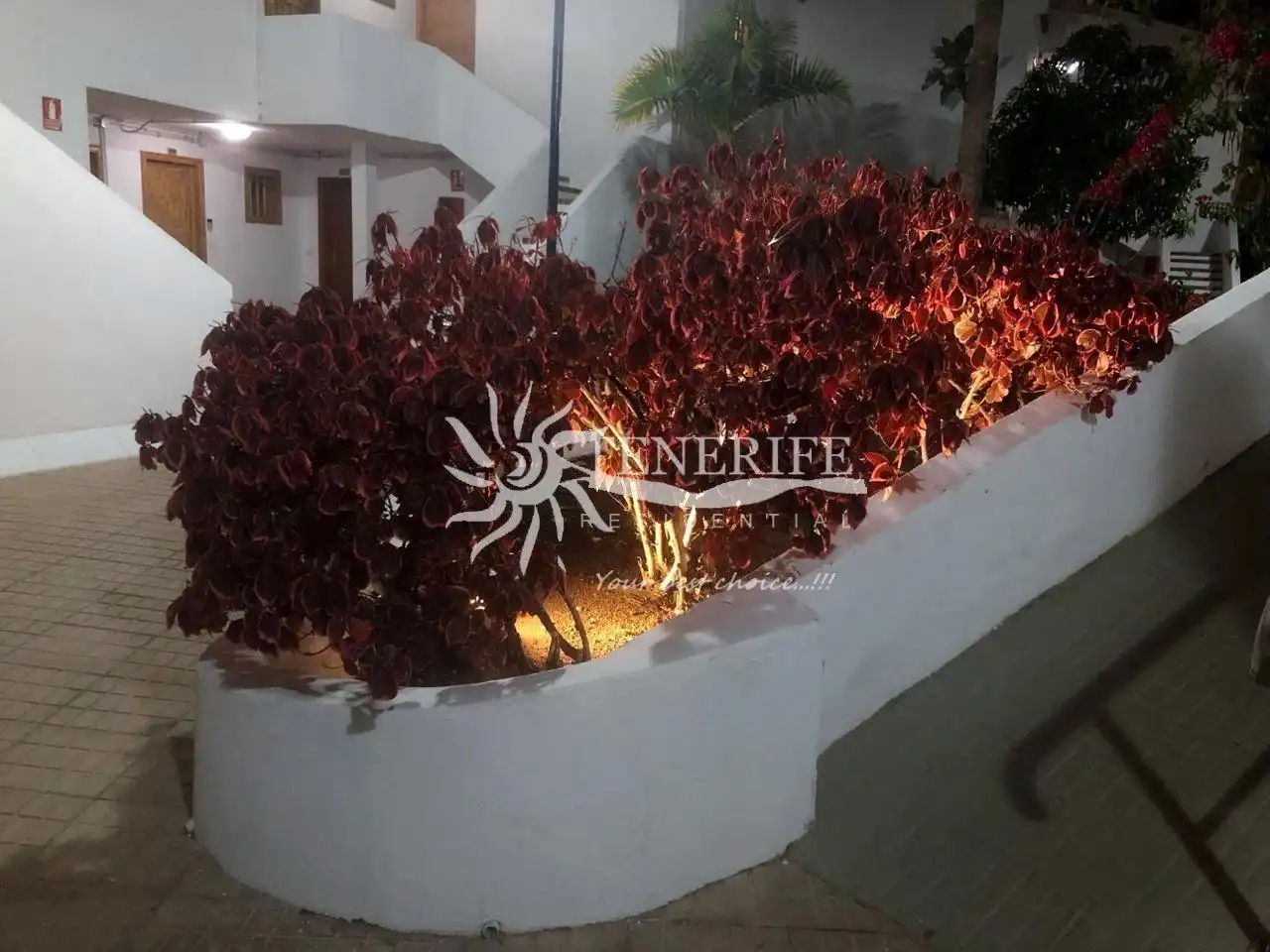 Terrace of Flat for sale in Adeje  with Terrace and Furnished