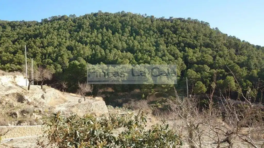 Country house for sale in Relleu, imagen 30