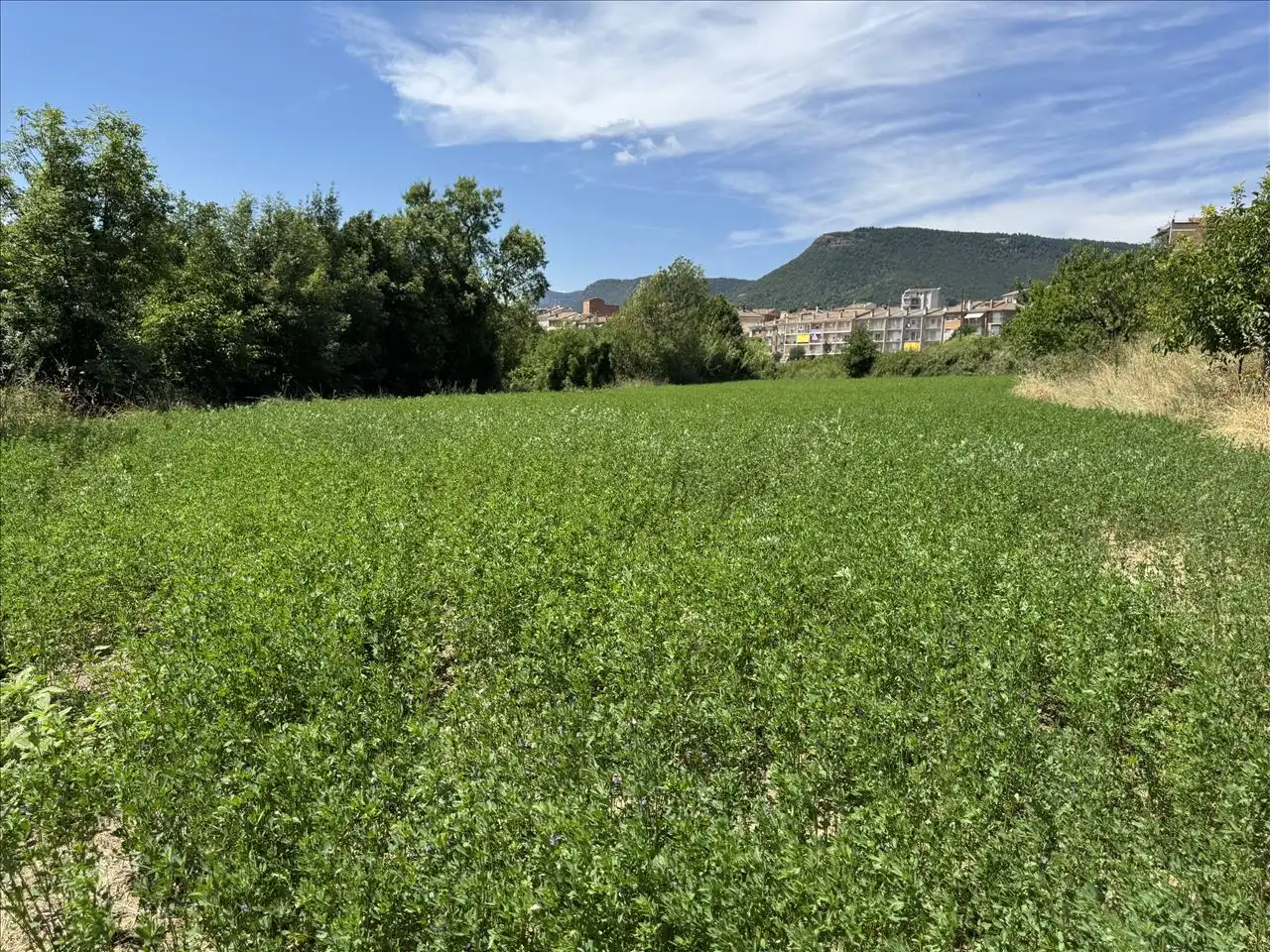 Terreno residenziale in vendita a Torrent De Fornos, imagen 4