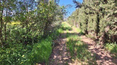 Foto 3 de Terreno en venta en Campanillas, Málaga Capital