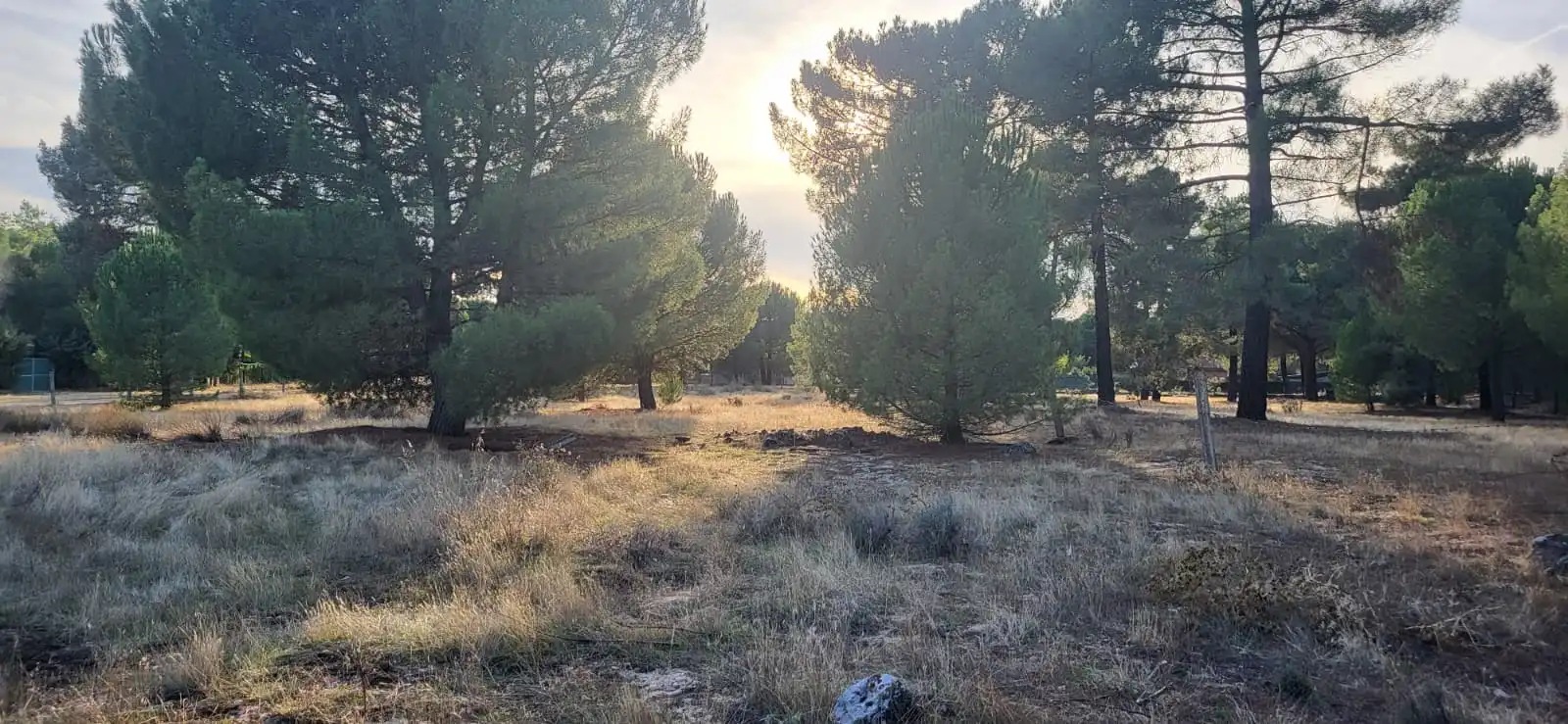 Terreno residenziale in vendita a Calle Santinos 8, imagen 4
