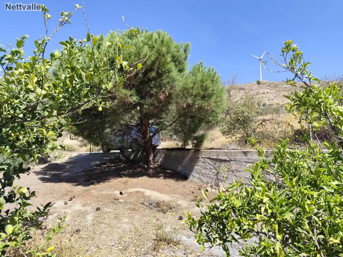 Casa rústica en venda a PAGO CAZORLAS DE MURCHAS, imagen 3