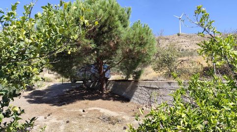 Finca Rúst. en venta en Murchas., imatge 3