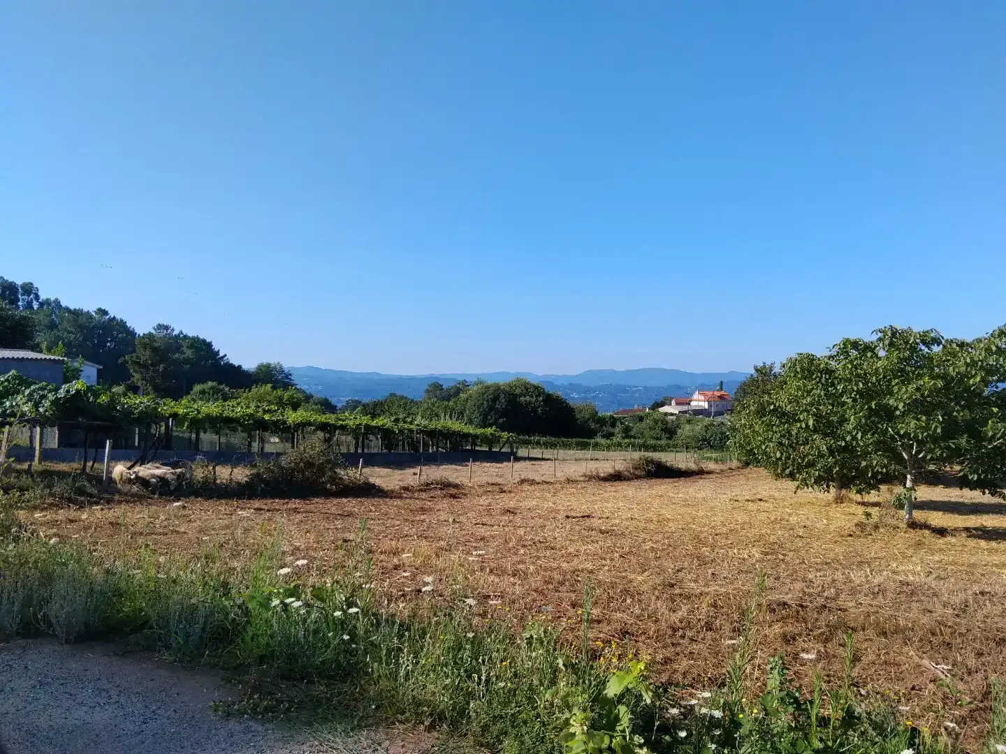 Finca rústica en venda en Vedra