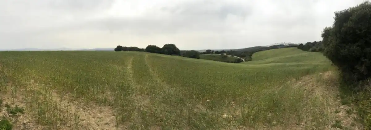 Terreny rústic en venda a Vejer, imagen 4