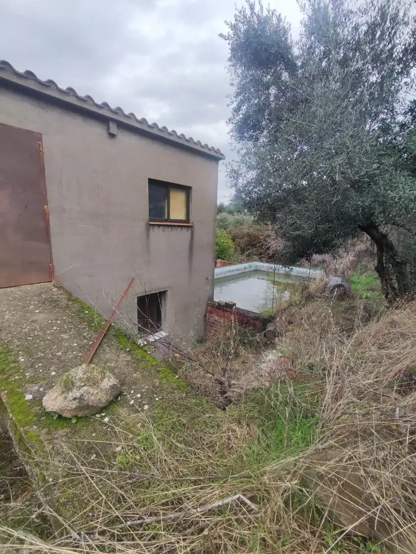 Terreni e lotti in vendita a Carretera Malpartida 5M, imagen 16