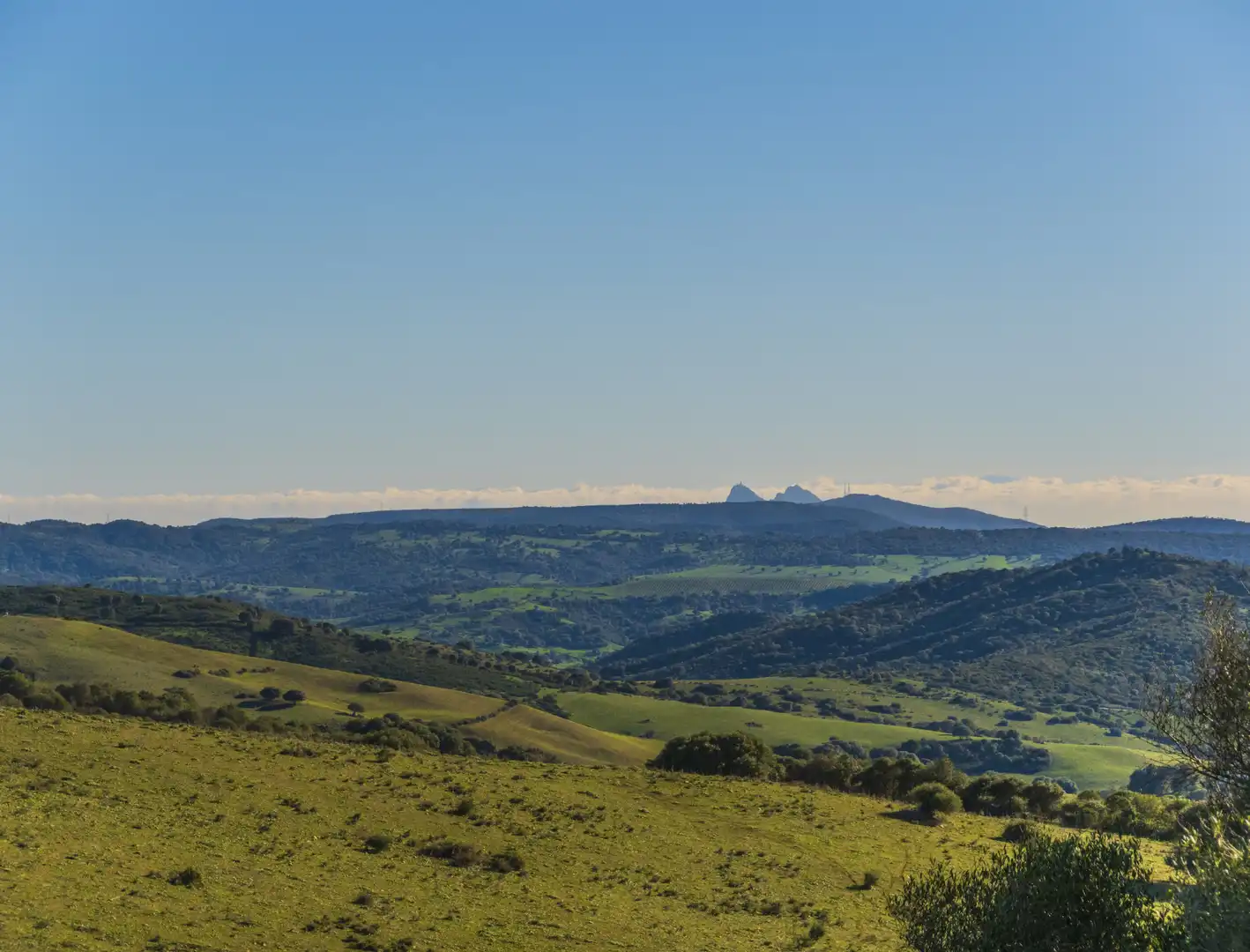 Vista exterior de Finca rústica en venda en San Martín del Tesorillo amb Aire condicionat, Jardí privat i Terrassa