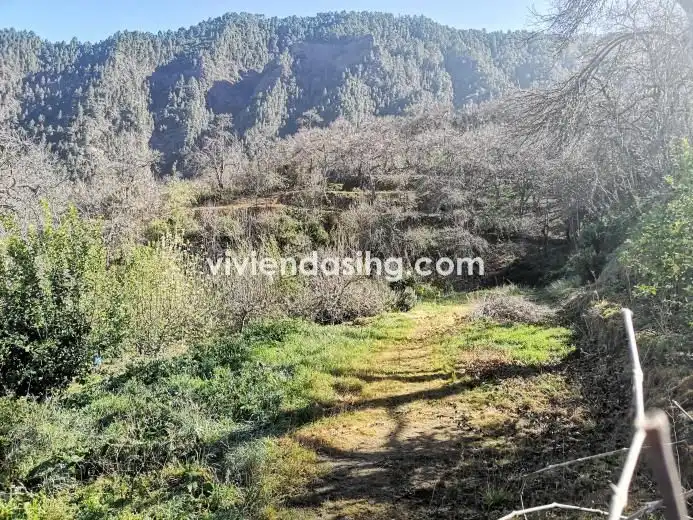 Terrain rustique à vendre à El Bebedero - Pinolere - Aguamansa, imagen 15