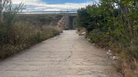 FINCA RUSTICA TOTALMENTE PLANA EN ALMOSTER, immagine 4