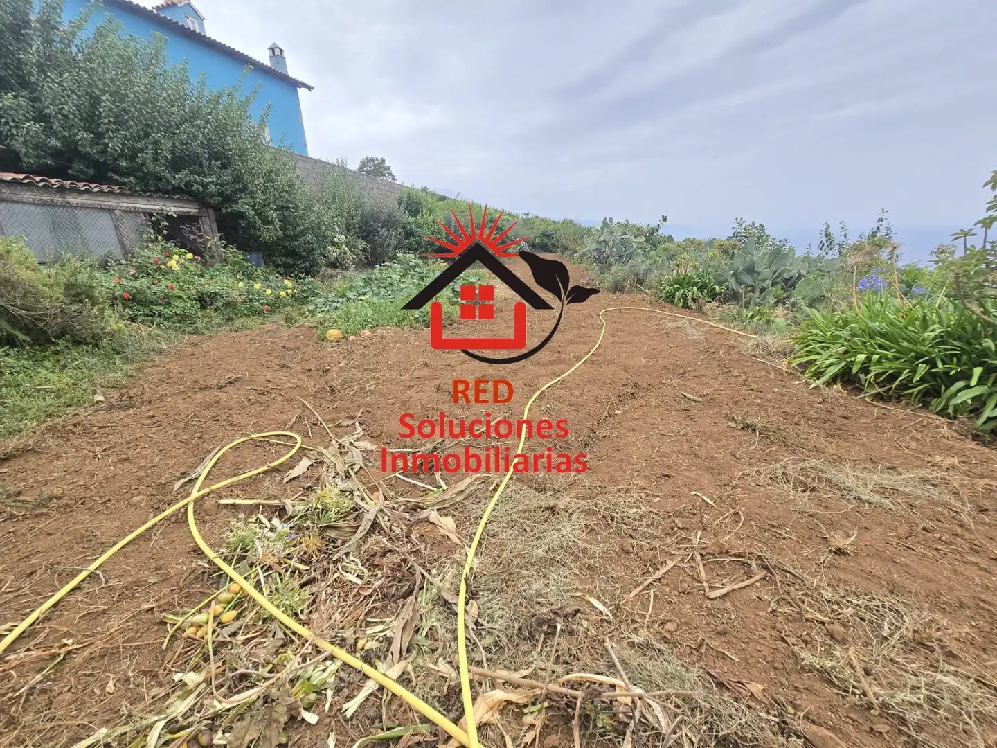 Casa rustica con giardino in vendita a El Sauzal, imagen 31